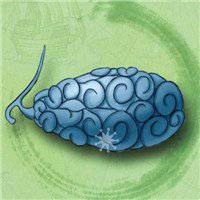 卡通水果头像黄瓜