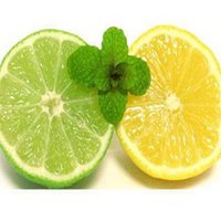 小孩吃水果头像