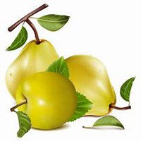 简单清秀水果头像