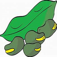 动画水果头像大图