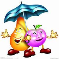 手绘水果头像卡通人物