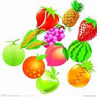 蔬菜水果拼盘成人头像