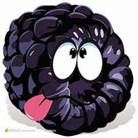 头上顶着水果猫头像