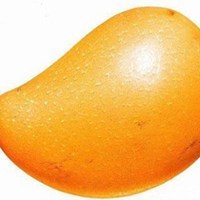 蔬菜水果小头像