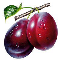 橙子水果头像卡通