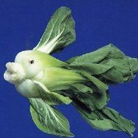 天使水果糖情侣头像