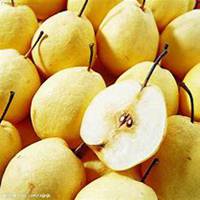 卡通水果姐妹头像