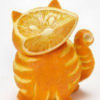 橙子水果头像卡通