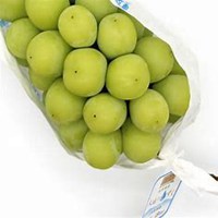 找好看水果头像