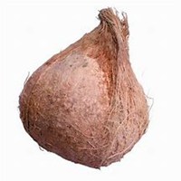 卡通水果樱桃头像大图