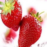 水果系列洛天依头像