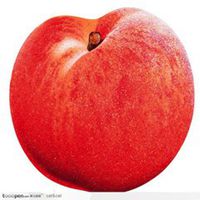 水果自行车头像