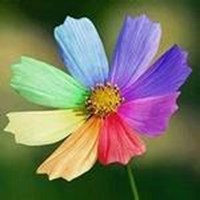 小清新蔬菜水果头像