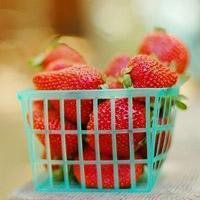 白底水果头像素材