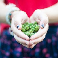 蔬菜水果粘头像