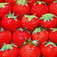 超级可爱闺蜜头像水果