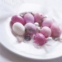 微信头像简约水果