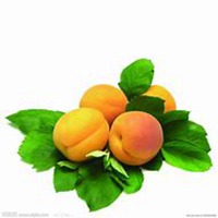 简洁头像白底水果