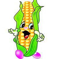 适合做头像水果图库