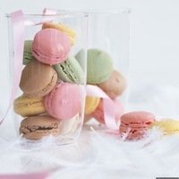 小清新水果头像手绘