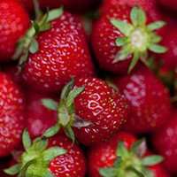 蔬菜水果搞笑头像