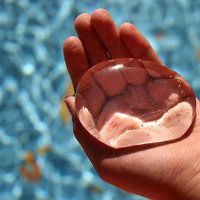 水果西瓜卡通头像