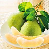 网上水果店铺头像