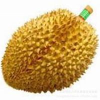 天使水果糖头像