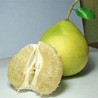 白底水果卡通小头像