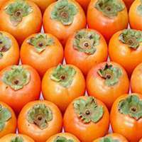 欧美女拿拿水果头像吧