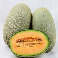 求图彩绘水果头像贴吧