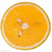 山东水果炒货头像