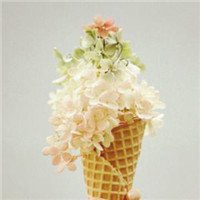 emoji抱水果头像