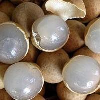 简单清秀水果头像