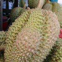 适合作头像水果