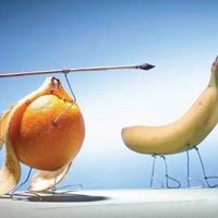 水果画头像大图