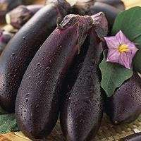 微信头像水果高清可爱