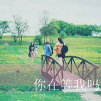 水果画人头像大图