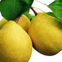 微信用水果做头像意思