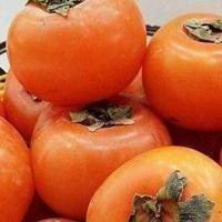 水果猫咪卡通头像