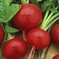 2018最潮水果头像