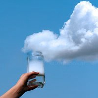 白底水果微信头像