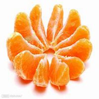 简洁头像白底水果