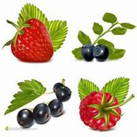 蔬菜水果超市微信头像