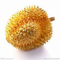 拿水果遮眼睛卡通头像