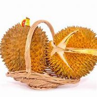 头上放个水果头像