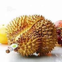 圆形水果头像素材