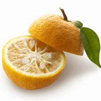 头像水果背景是白