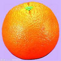 蔬菜水果拼妈妈头像