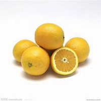 蔬菜水果拼盘成人头像